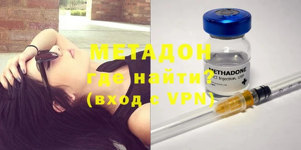 прущие грибы Осинники