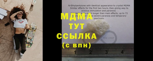 прущие грибы Осинники
