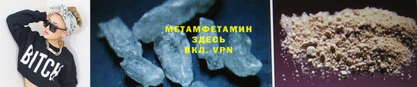прущие грибы Осинники