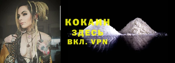 прущие грибы Осинники
