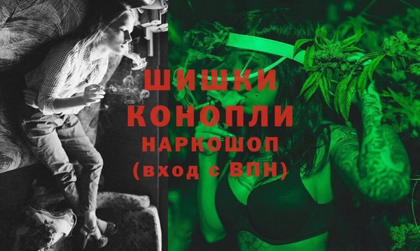 прущие грибы Осинники