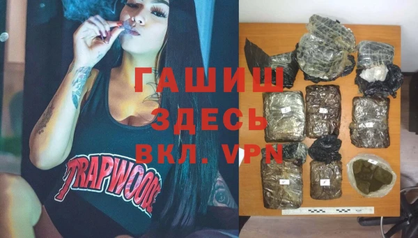 прущие грибы Осинники