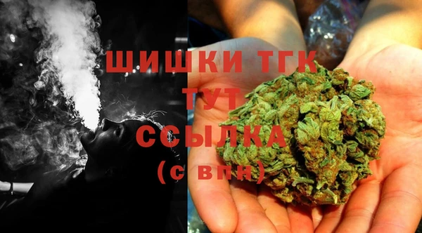прущие грибы Осинники