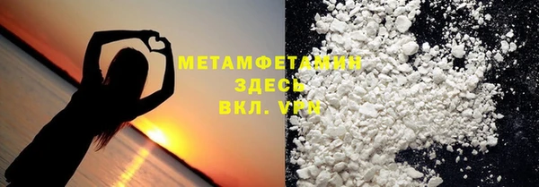 прущие грибы Осинники